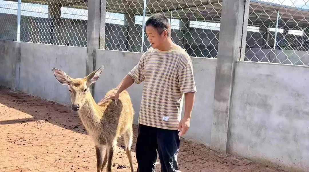 怎么算是闲龙宝,庄龙宝